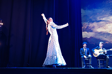 塞维利亚Teatro Flamenco Sevilla弗拉明戈剧院第 21 张图片