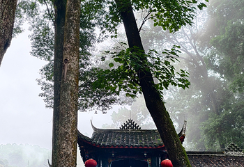 青城山第 271 张图片