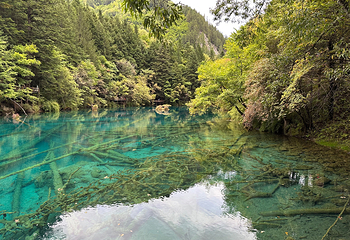 九寨沟风景区第 552 张图片