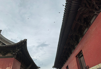 朔州崇福寺景区第 90 张图片