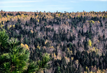 汤旺河林海奇石景区第 43 张图片