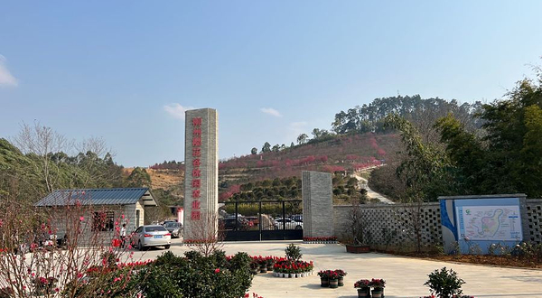 柳州樱花谷农业园