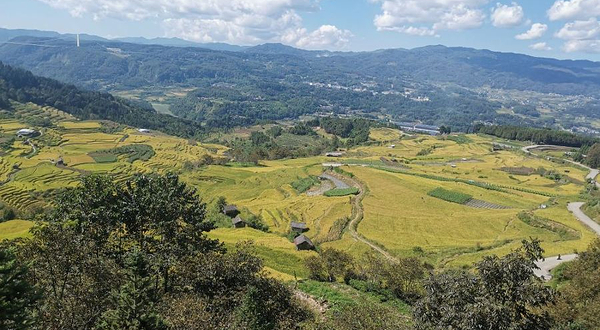 五合梯田观景台