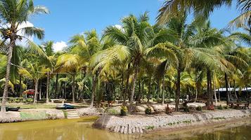 Viet Nhat restaurant