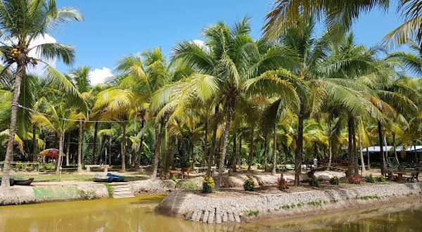 Viet Nhat restaurant