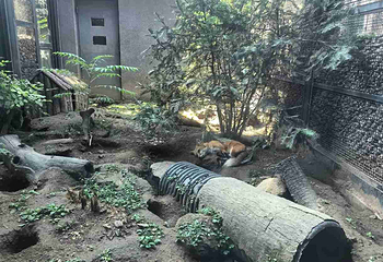 北京动物园第 73 张图片