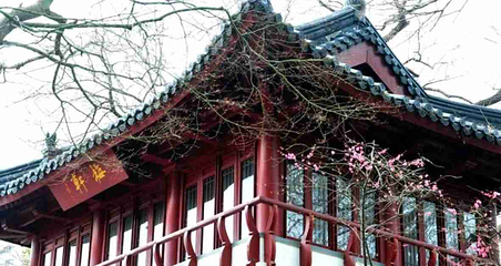 鲁迅公园第 28 张图片