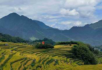 云和梯田景区第 41 张图片