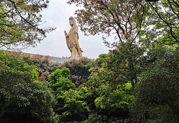 普陀山风景区第 300 张图片