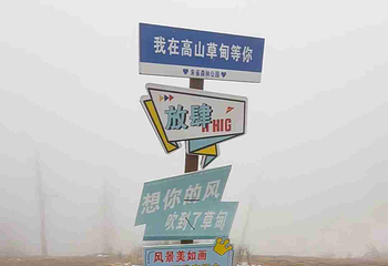 朱雀国家森林公园第 47 张图片