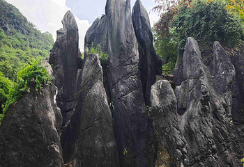 玉石林风景区第 29 张图片