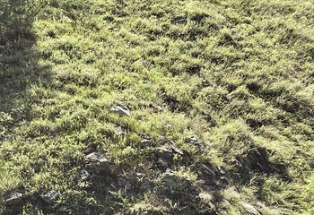 大同火山群国家地质公园第 102 张图片
