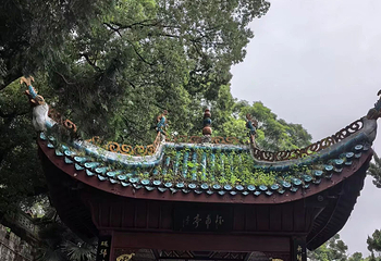 岳阳楼景区第 119 张图片