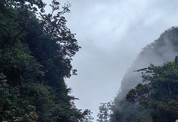 峨眉山第 256 张图片