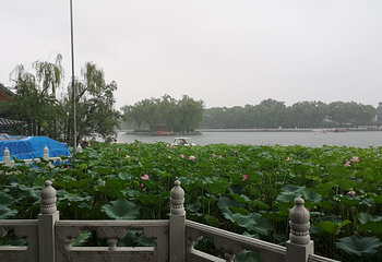 什刹海风景区第 278 张图片