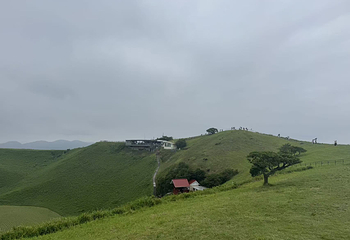 大室山第 31 张图片