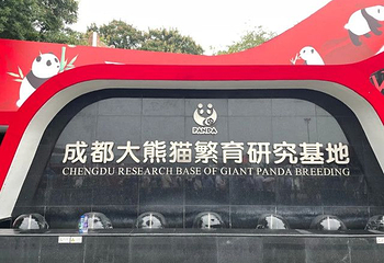 成都大熊猫繁育研究基地第 394 张图片