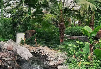 崇宁堡温泉第 11 张图片