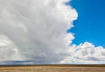 可可西里国家级自然保护区第 16 张图片