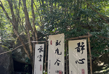 大鄣山卧龙谷第 28 张图片
