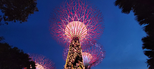 新加坡滨海湾花园第 224 张图片