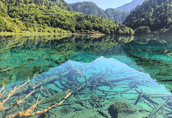 九寨沟风景区第 160 张图片