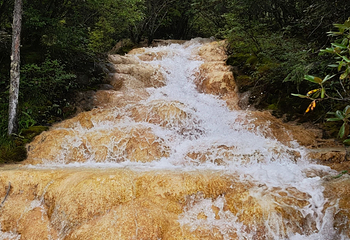 黄龙风景名胜区第 262 张图片