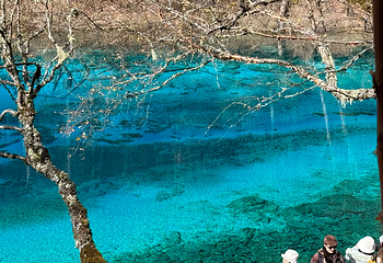 九寨沟风景区第 310 张图片