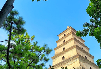 大雁塔第 81 张图片