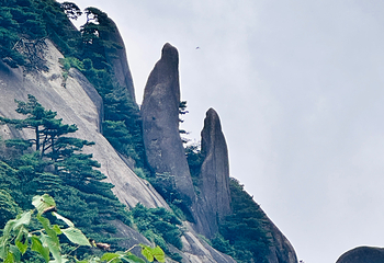 黄山风景区第 361 张图片