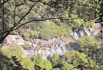 石台牯牛降景区第 120 张图片