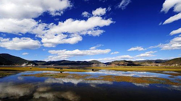 纳帕海湿地公园(骑马)