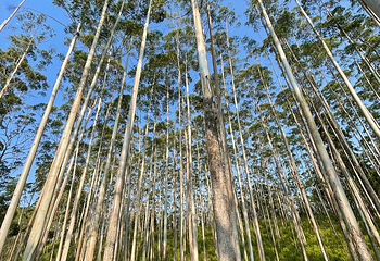 埃拉岩第 2 张图片
