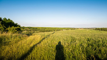 Etyeki Szeplőtelen Fogantatás kápolna