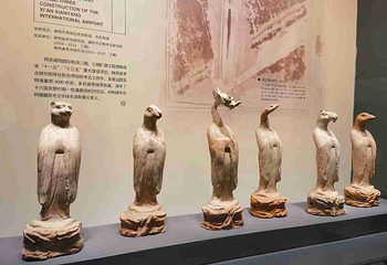 陕西考古博物馆第 42 张图片
