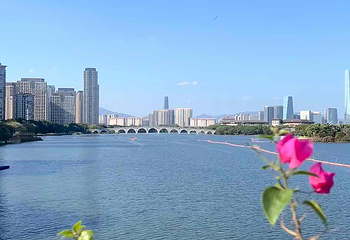 厦门园林博览苑第 115 张图片