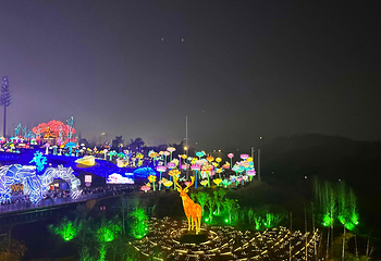 自贡·中华彩灯大世界第 50 张图片
