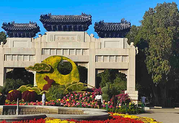 中山公园第 12 张图片
