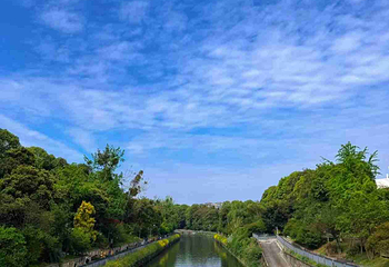 浣花溪公园第 46 张图片
