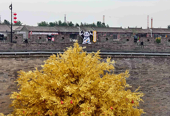 广府古城第 56 张图片