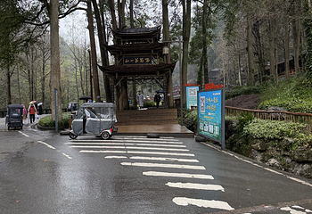 青城山第 332 张图片