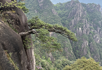 三清山风景区第 244 张图片
