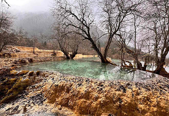 黄龙风景名胜区第 198 张图片