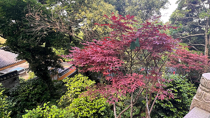 洛迦山第 24 张图片