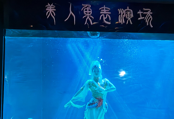 海合安青岛极地海洋公园第 185 张图片