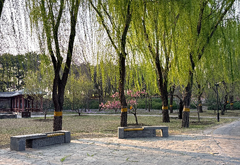 圆明园第 164 张图片
