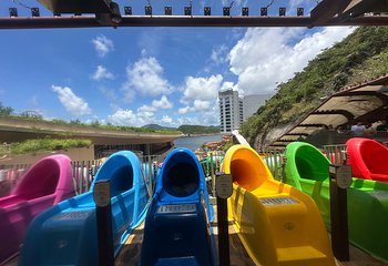 香港海洋公园水上乐园第 66 张图片