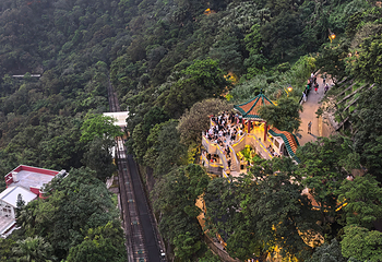 太平山顶第 186 张图片