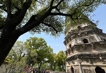 虎丘山风景名胜区第 121 张图片