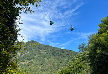 大鄣山卧龙谷第 25 张图片